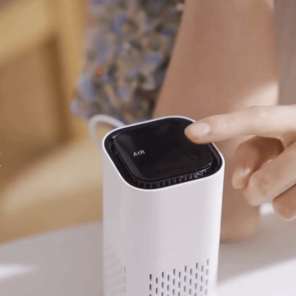air purifier
