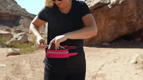 belt bag