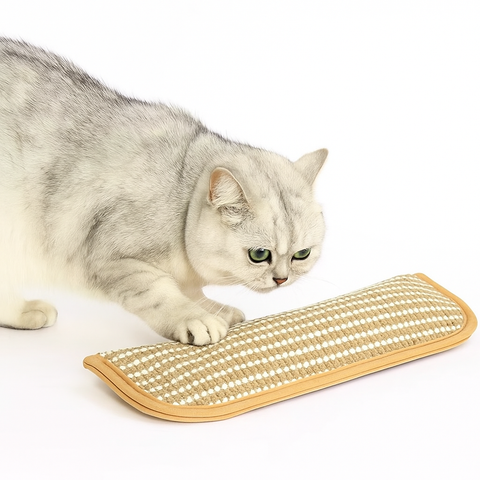 cat furniture