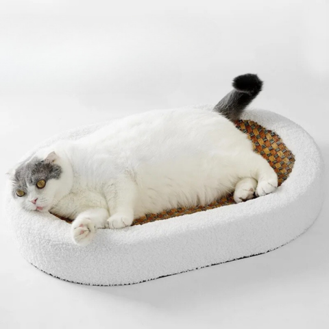 cat furniture