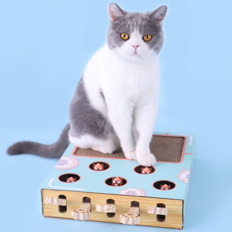 cat furniture