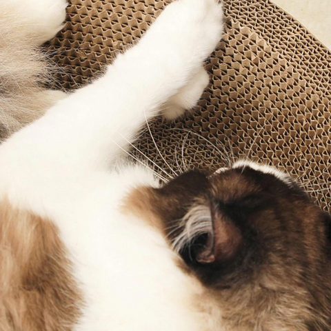 cat furniture