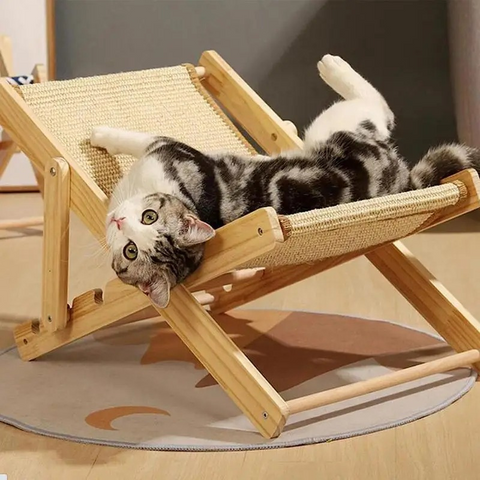 cat furniture