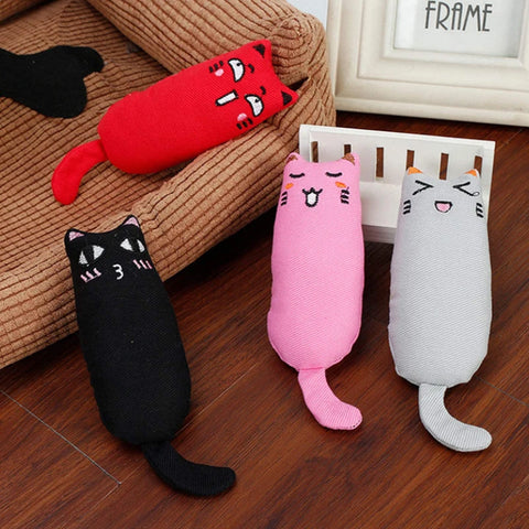 cat toy