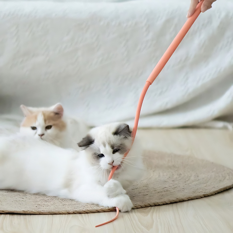 cat toy