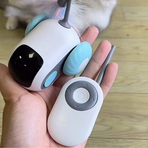 cat toy