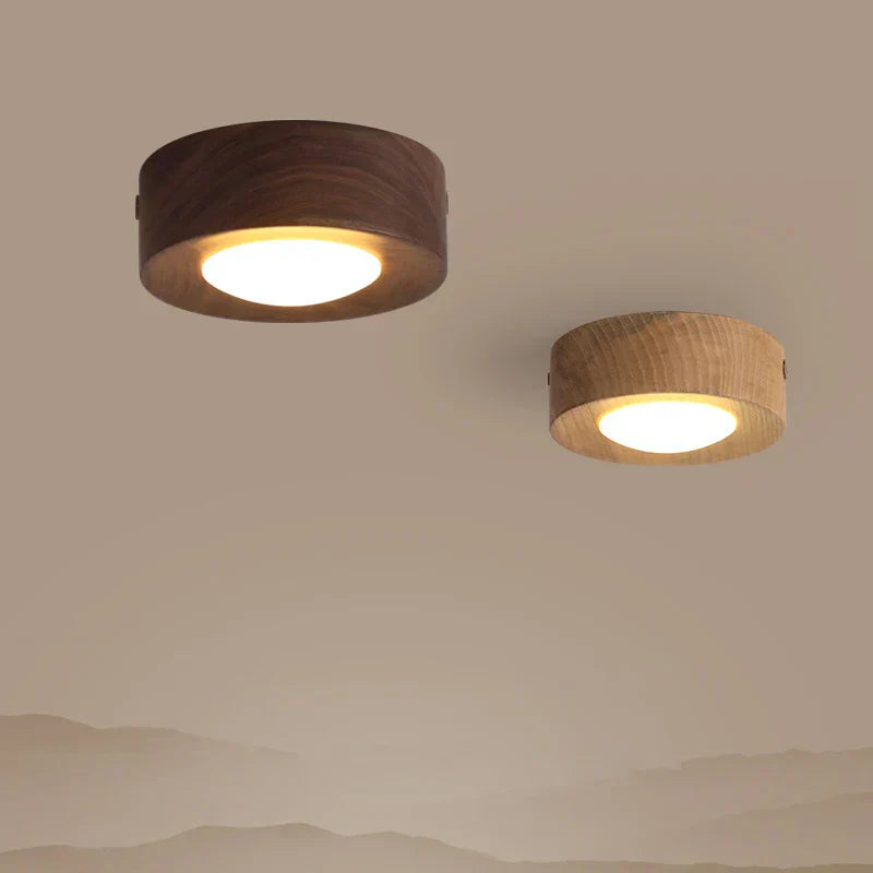 ceiling light