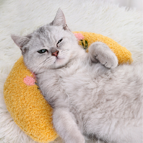 cushion