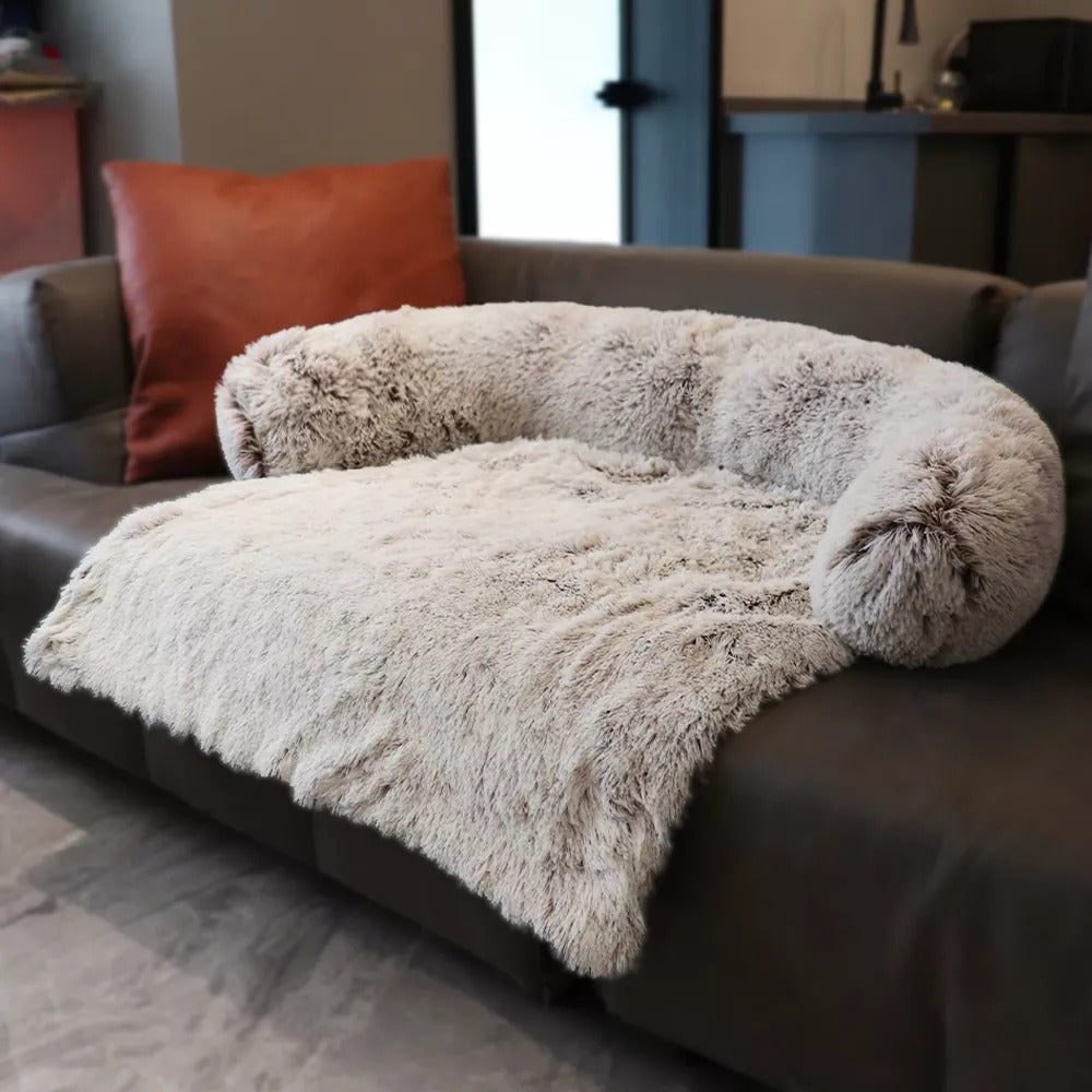 dog bed – 4