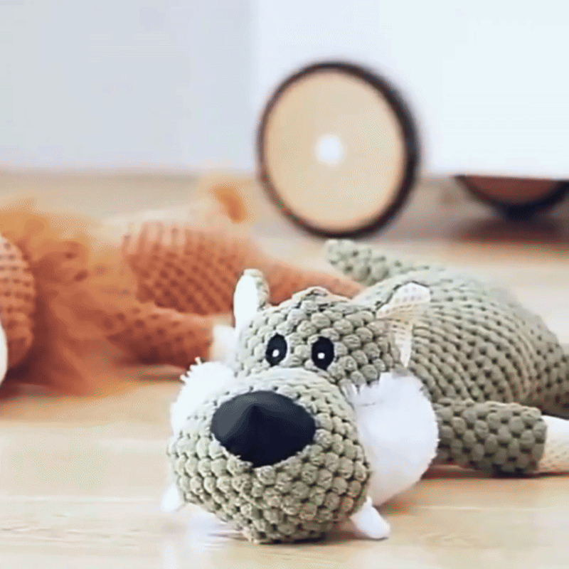 dog toy