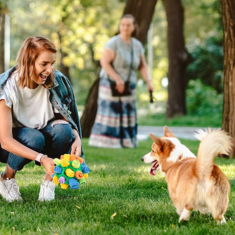 dog toy