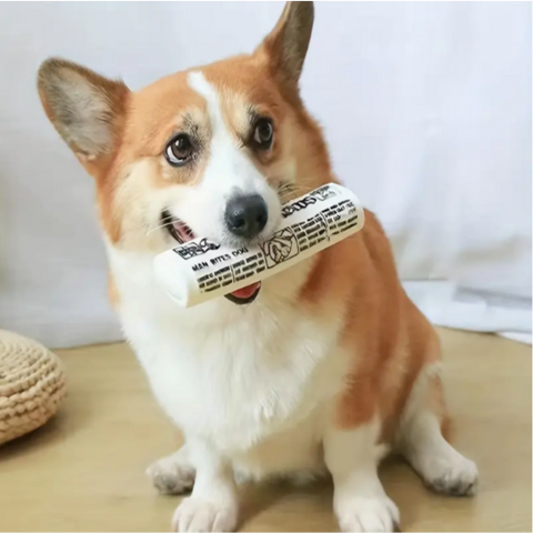 dog toy