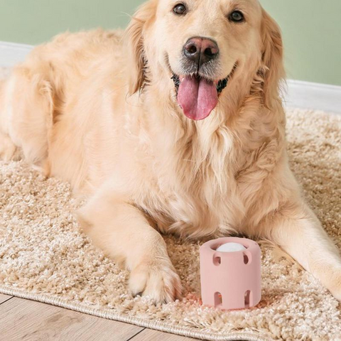 dog toy