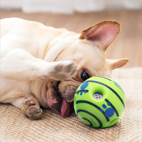 dog toy
