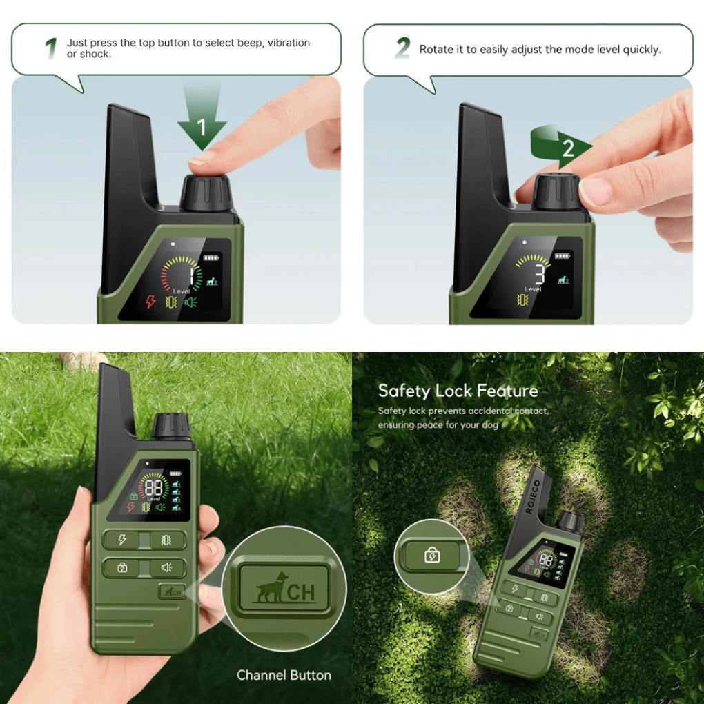 dog training collar