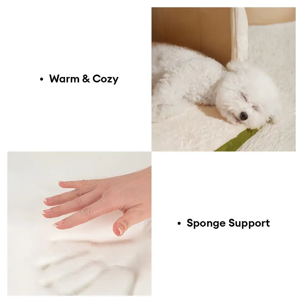 pet