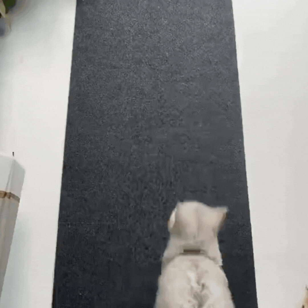 pet