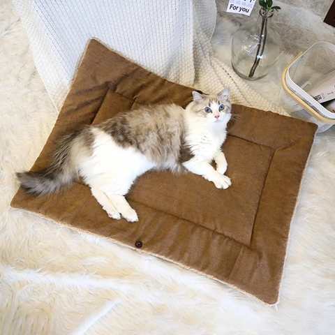 pet