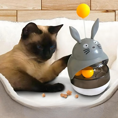 pet
