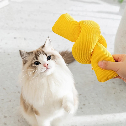 pet