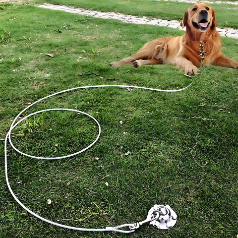 pet