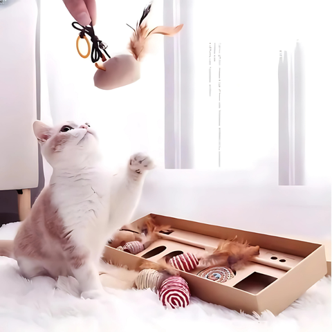 pet