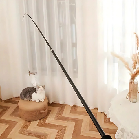pet