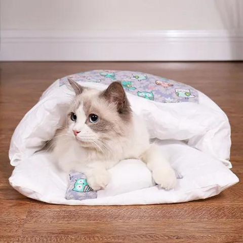 pet bed
