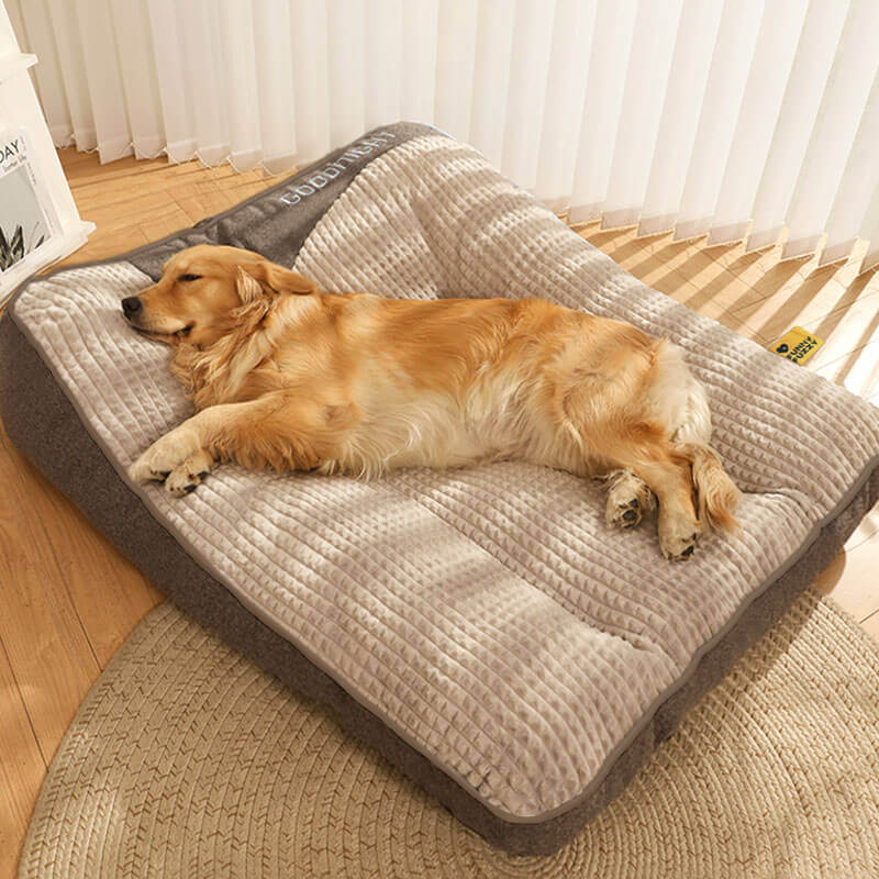 pet bed