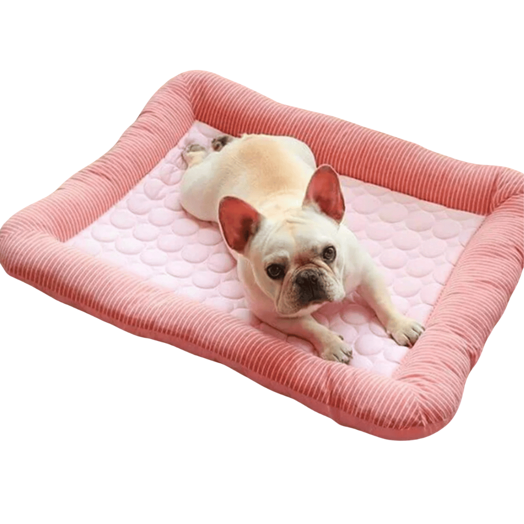 pet bed