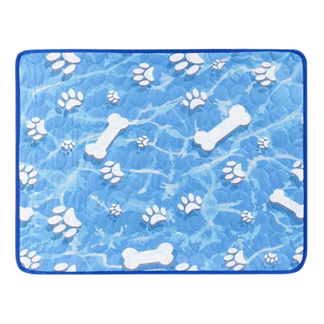 pet bed