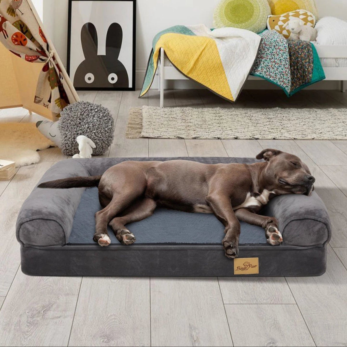 pet bed