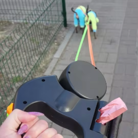 pet collar