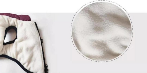 pet collar