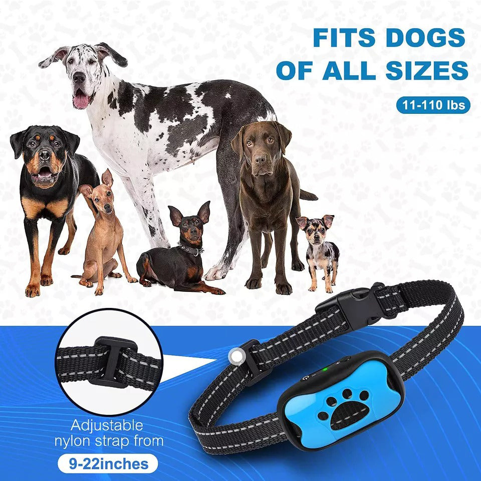 pet collar