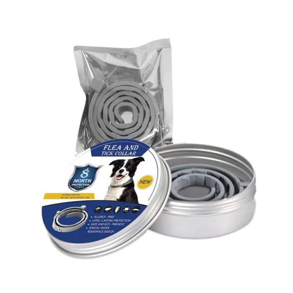 pet collar
