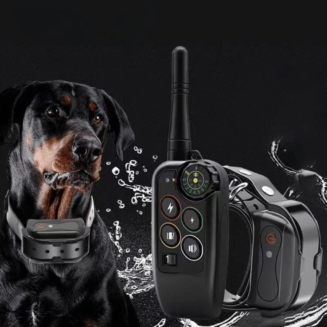 pet collar