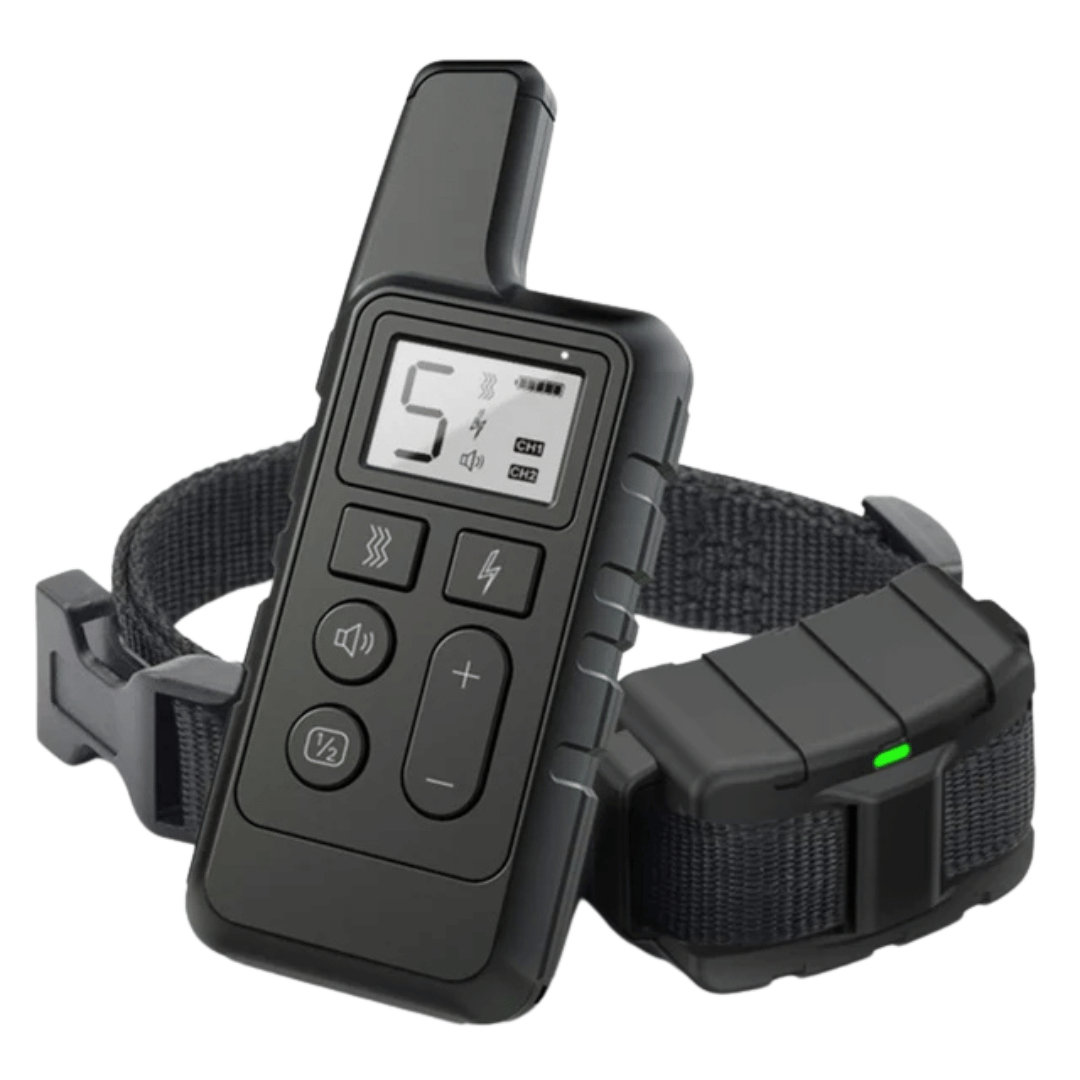 pet collar
