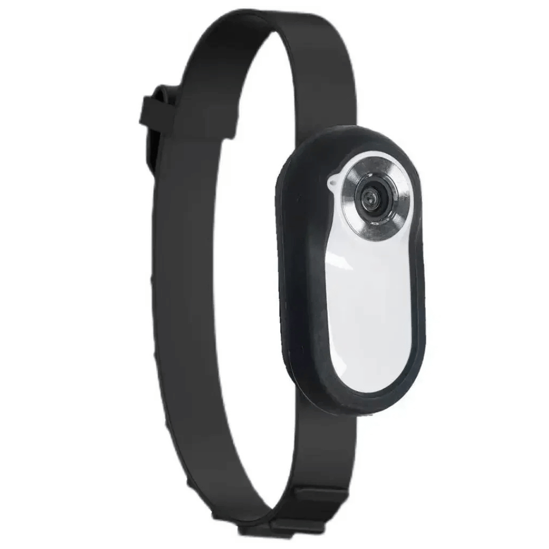 pet collar