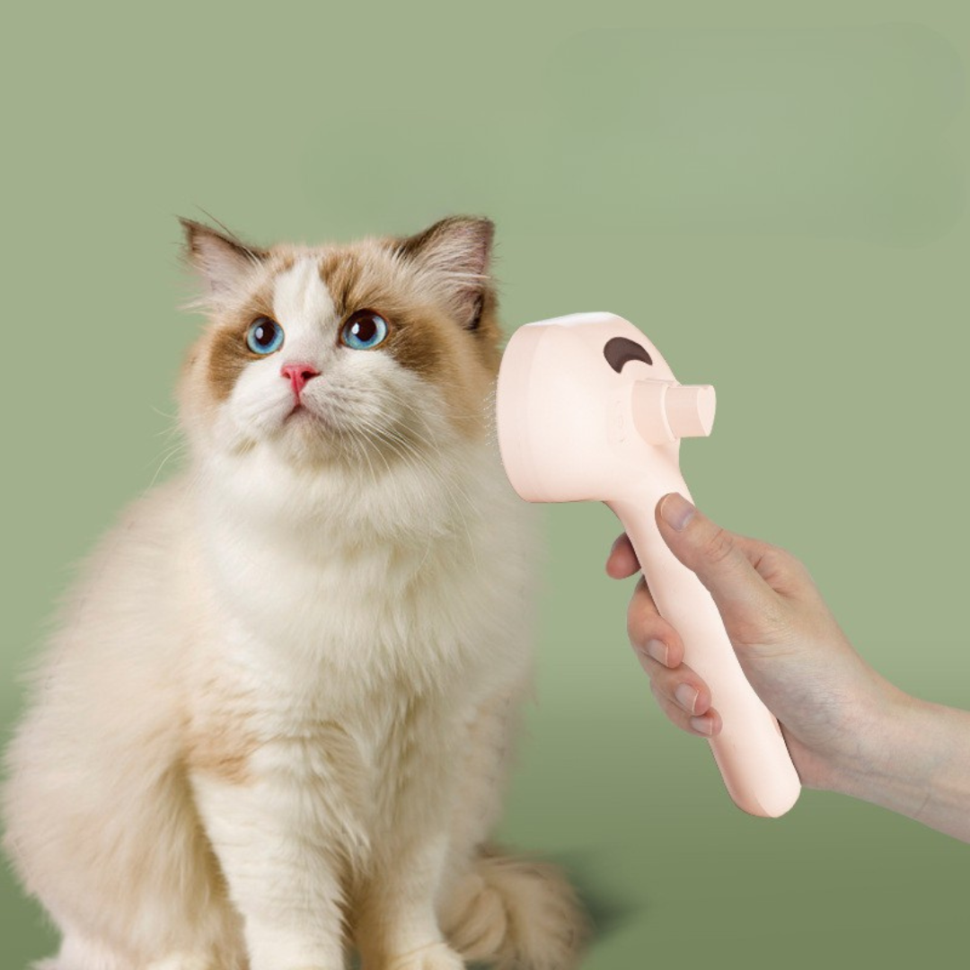 pet grooming