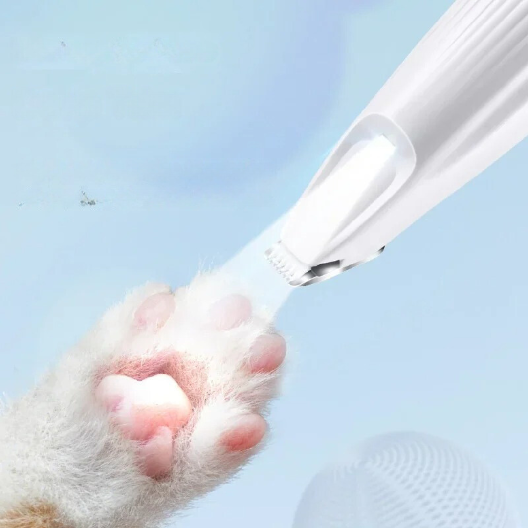 pet grooming