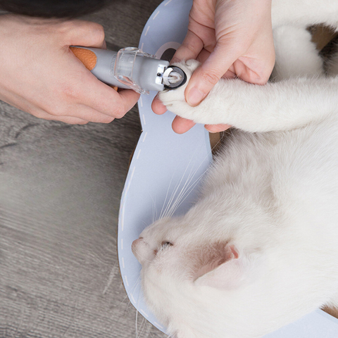 pet grooming