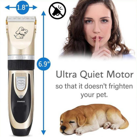pet grooming