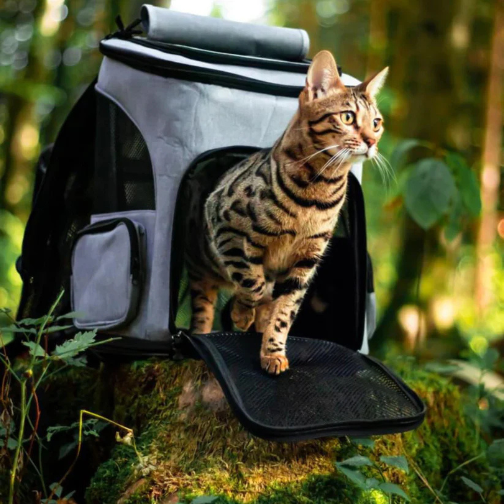 backpack