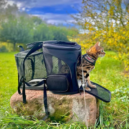 backpack – 3