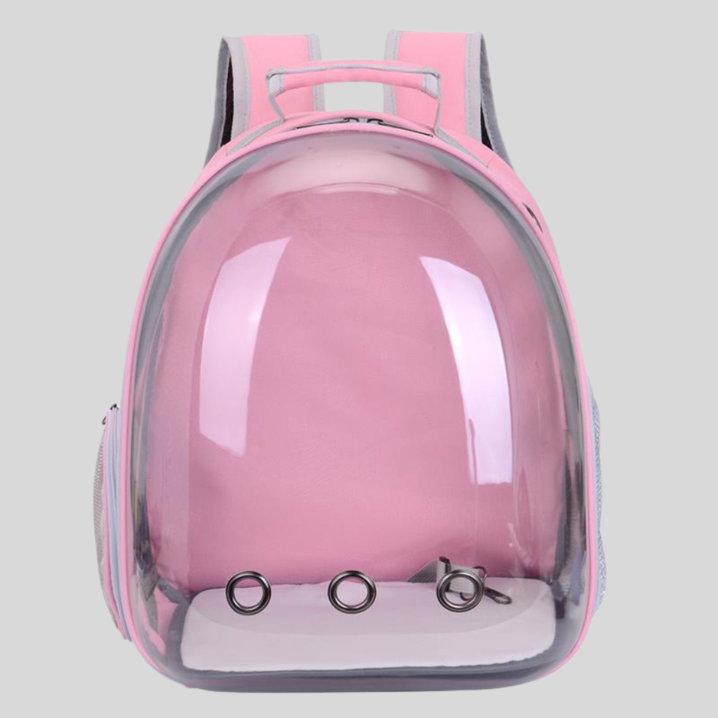 backpack – 2