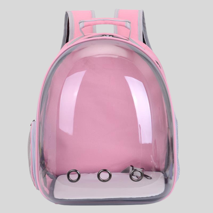 backpack – 2