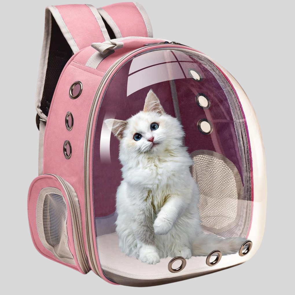 backpack