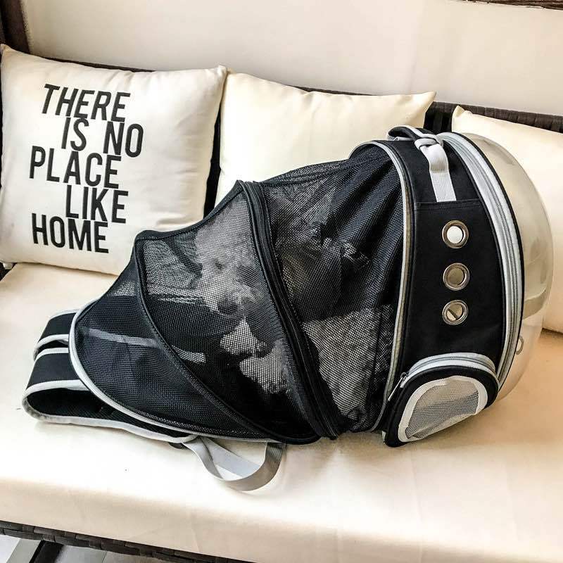 backpack – 12