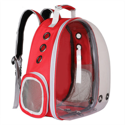 backpack – 21